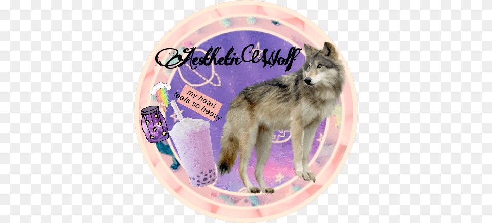 Wolf Icon Aesthetic Rainbow Coffee Jar Stars Wolf, Animal, Canine, Dog, Mammal Free Png