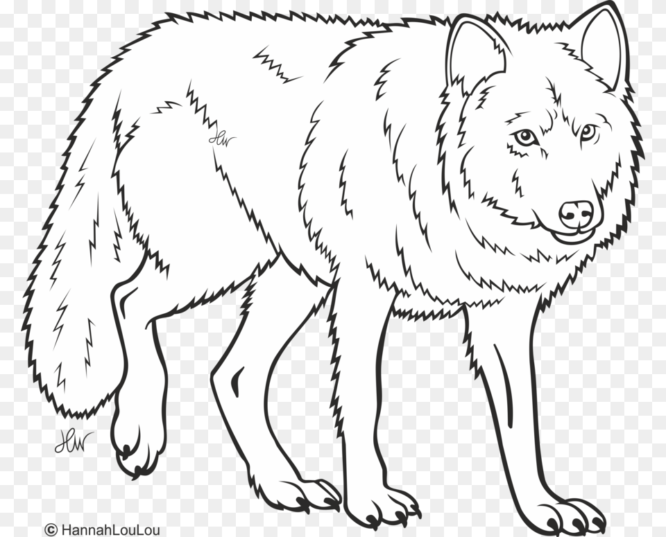Wolf Line Drawing, Animal, Mammal, Dog, White Dog Png