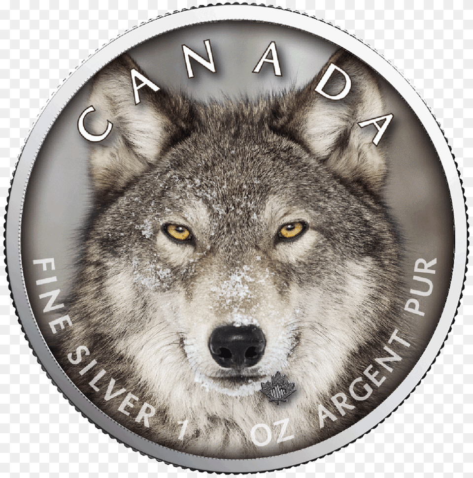 Wolf Maple Leaf Canada S Wildlife Coin, Animal, Canine, Dog, Mammal Png