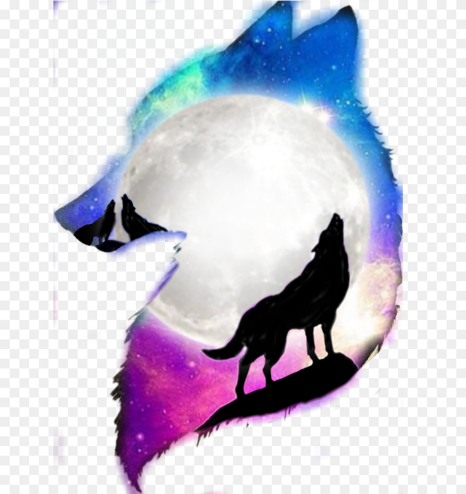 Wolf Mone Space Galaxy Silhouette, Animal, Outdoors, Night, Nature Free Transparent Png