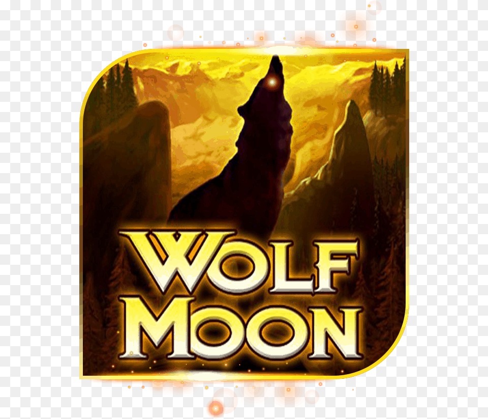 Wolf Moon Amatic, Adult, Female, Person, Woman Free Transparent Png