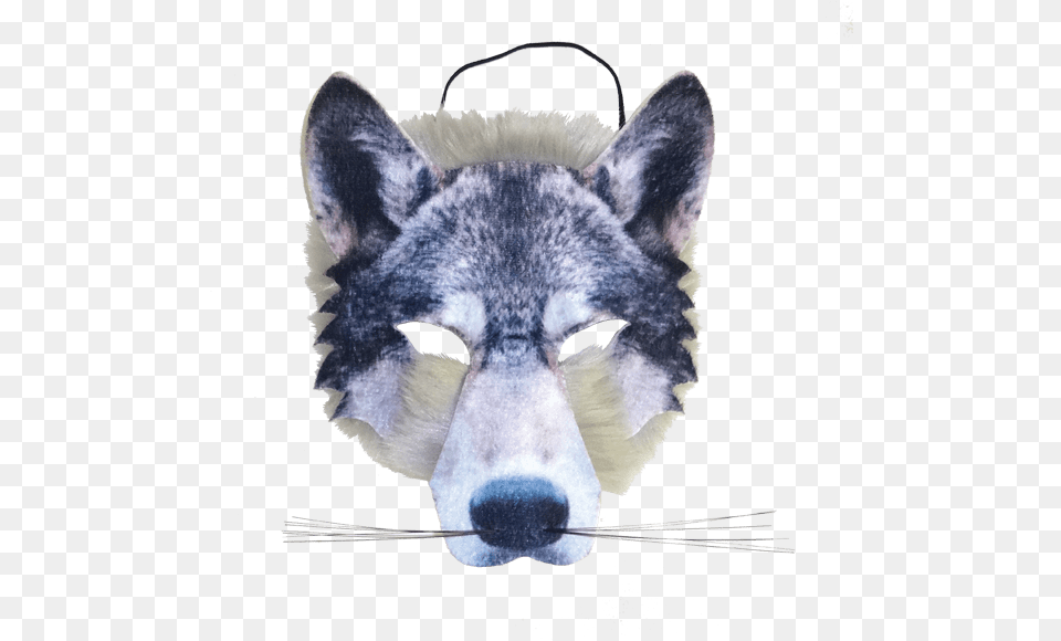 Wolf Nose Wolf Mask, Animal, Mammal, Cat, Pet Png
