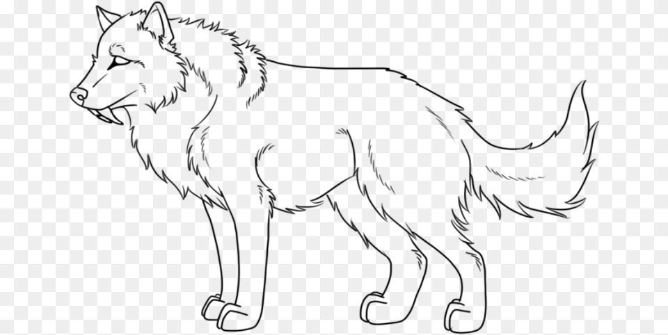 Wolf Outline Wolf Outline, Gray Png