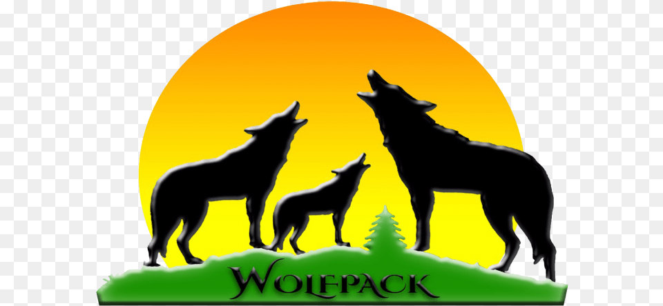 Wolf Pack, Animal, Coyote, Mammal, Silhouette Png