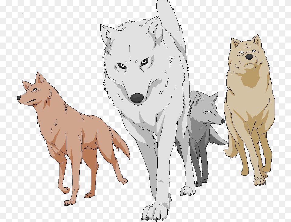 Wolf Pack Picture Wolf Pack Transparent Background, Animal, Mammal, Canine, Dog Free Png