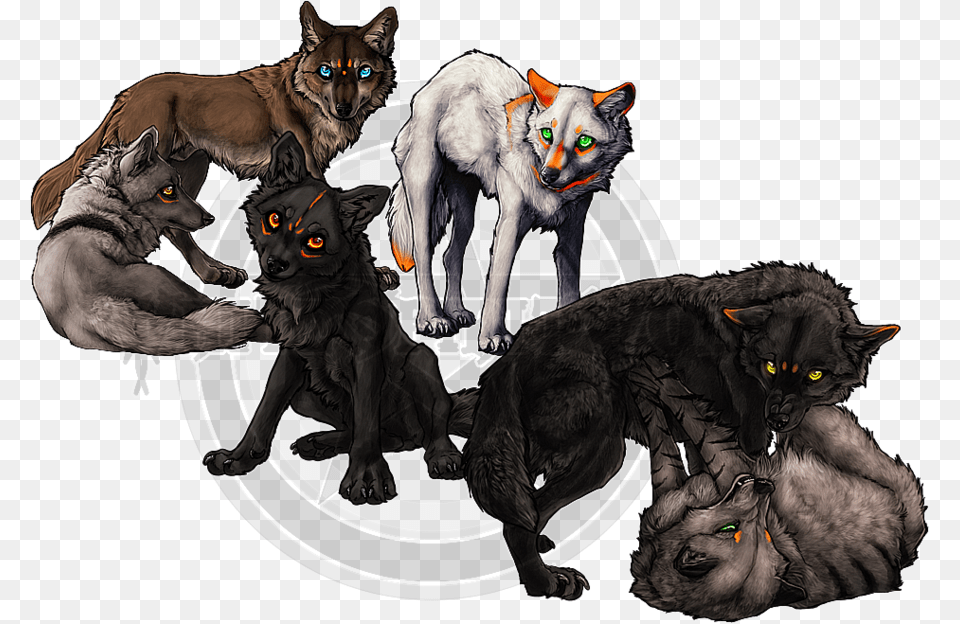 Wolf Pack Wolf Pack Background, Animal, Cat, Mammal, Pet Free Transparent Png