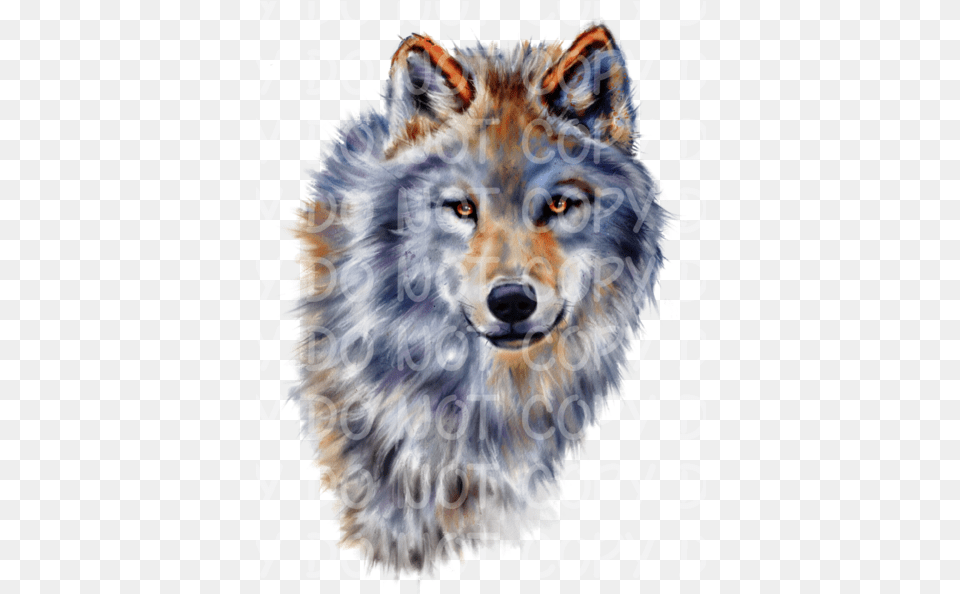 Wolf Painting Sublimation Watercolor Wolves Clipart, Animal, Mammal, Lion, Wildlife Free Png Download