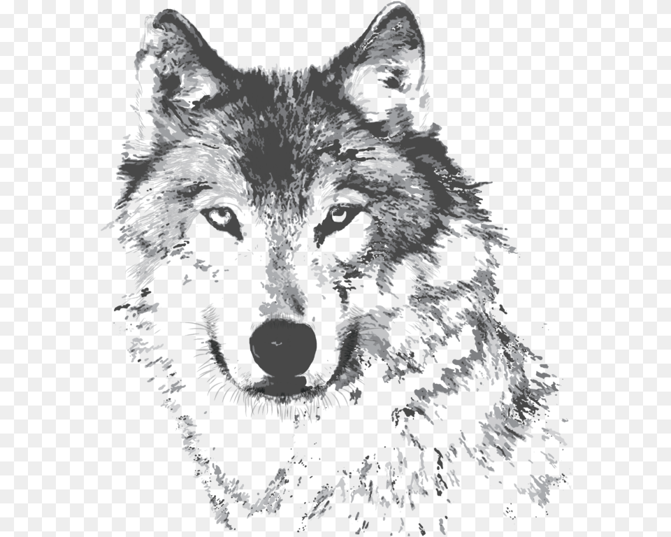 Wolf Puzzle Black And White, Animal, Mammal, Cat, Pet Png Image