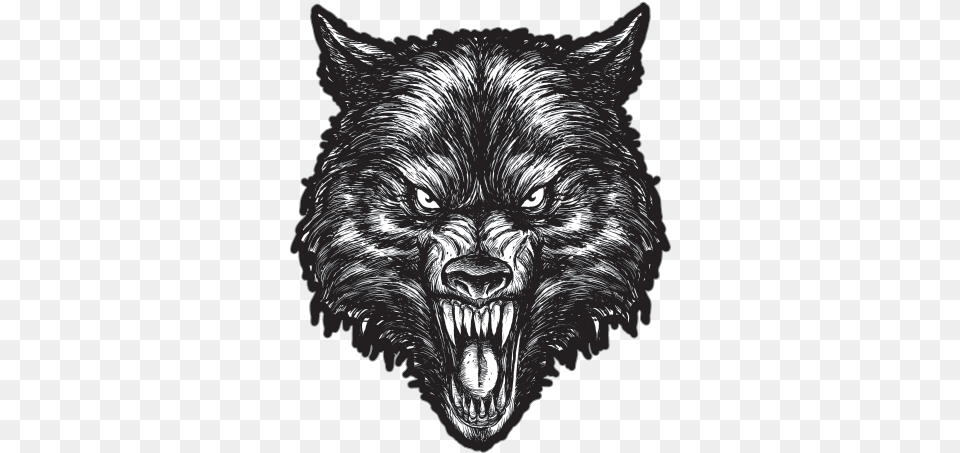 Wolf Rob Darken Robert Fudali Graveland Band, Animal, Mammal, Cat, Pet Free Png Download