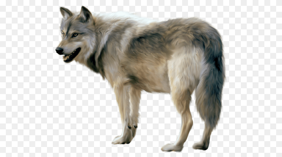 Wolf Sideview, Animal, Canine, Dog, Mammal Free Transparent Png