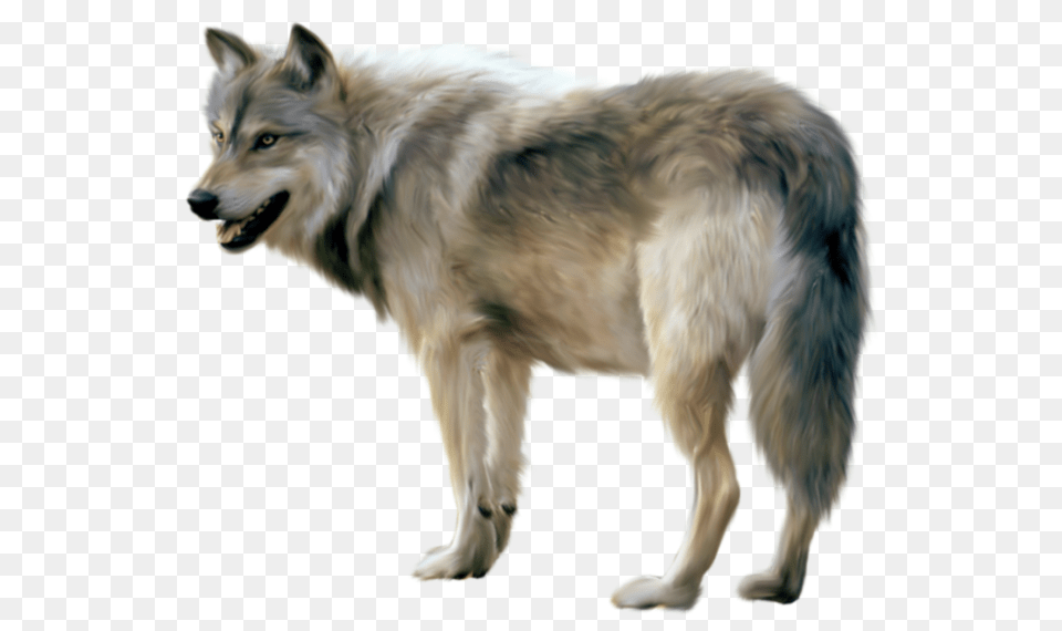 Wolf Sideview Wolf, Animal, Canine, Dog, Mammal Free Transparent Png