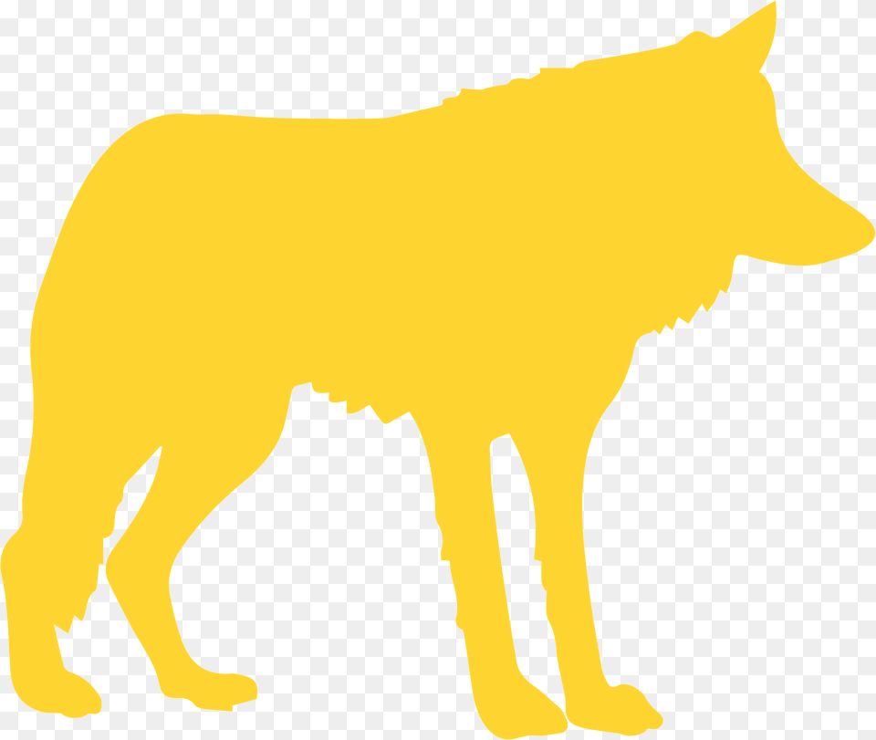Wolf Silhouette, Animal, Canine, Dog, Mammal Png