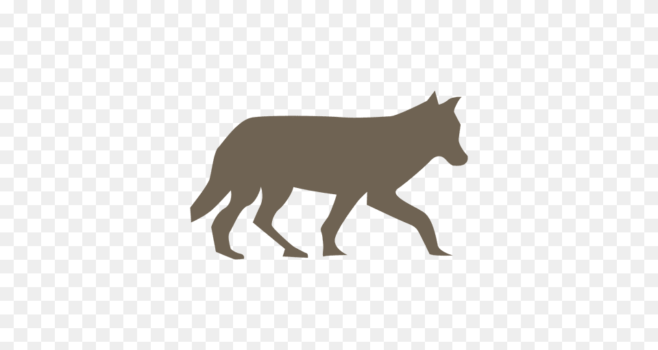 Wolf Silhouette, Animal, Coyote, Mammal, Canine Png Image