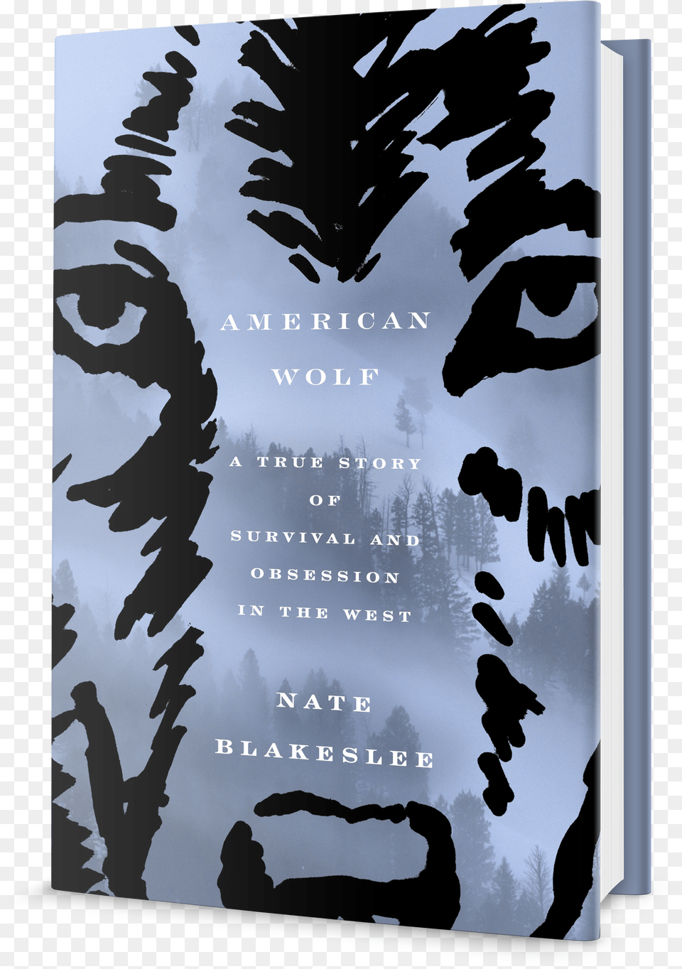 Wolf Silhouette, Flare, Light, Fireworks, Outdoors Free Transparent Png