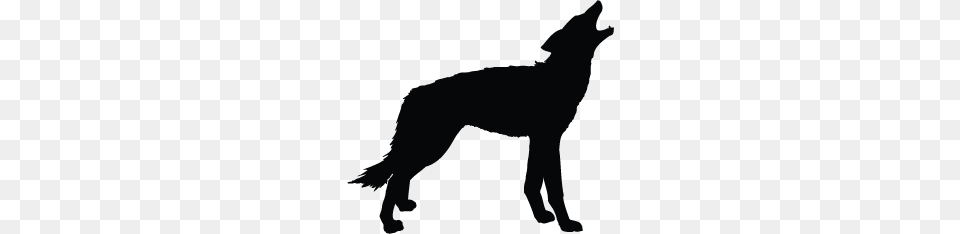 Wolf Silhouette Clip Art Clipart Collection, Animal, Coyote, Mammal, Kangaroo Png