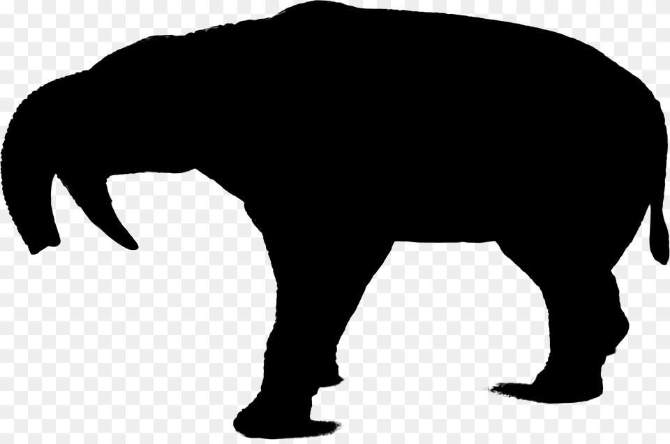 Wolf Silhouette Indian Elephant Bear Art Angry Wolf Silhouette, Gray Free Transparent Png