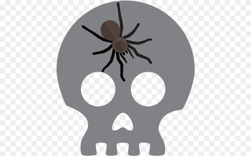 Wolf Spider, Animal, Invertebrate, Person Free Png Download
