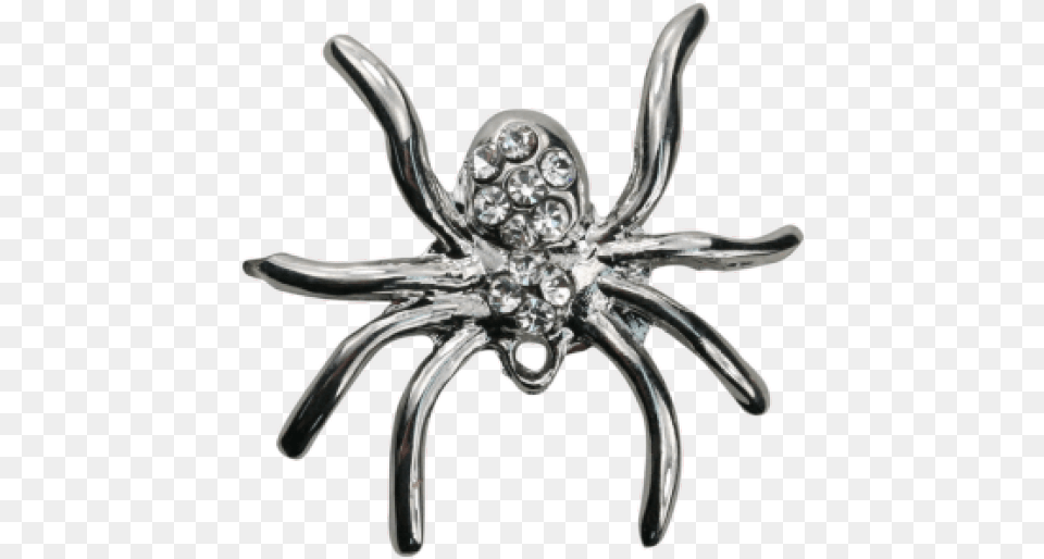 Wolf Spider, Accessories, Jewelry, Brooch Png Image