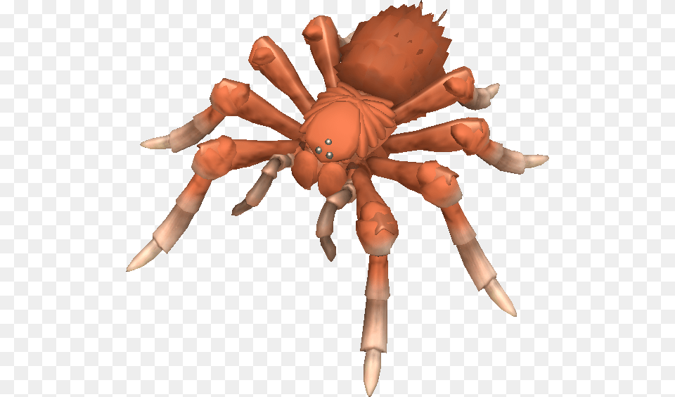 Wolf Spiders Are Ambush Hunters And Do Not Build A Spore Spiders, Animal, Baby, Person, Invertebrate Png