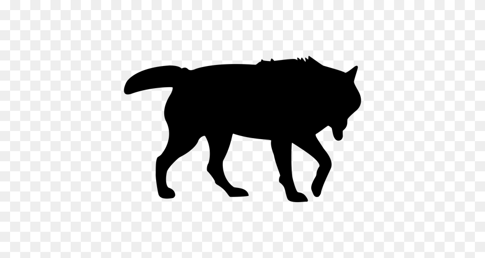Wolf Stalking Silhouette, Gray Png Image