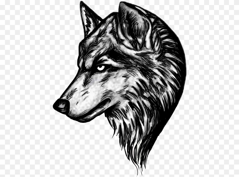 Wolf Tattoo Tribal Blue, Animal, Mammal, Person, Skin Free Transparent Png
