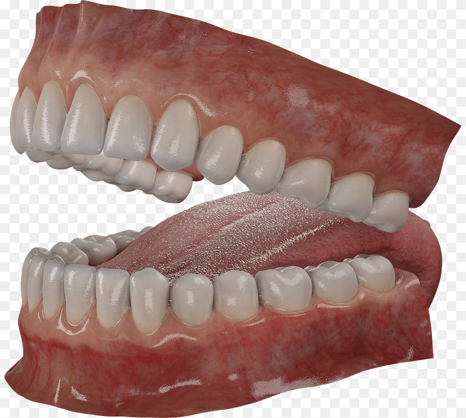 Wolf Teeth, Body Part, Mouth, Person, Face Free Transparent Png