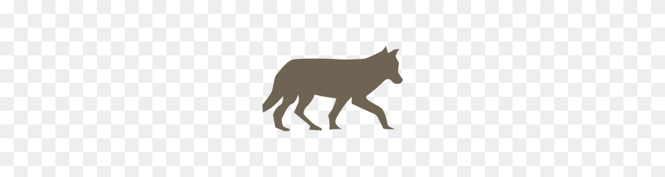 Wolf Transparent Or To Download, Animal, Coyote, Mammal, Bear Png
