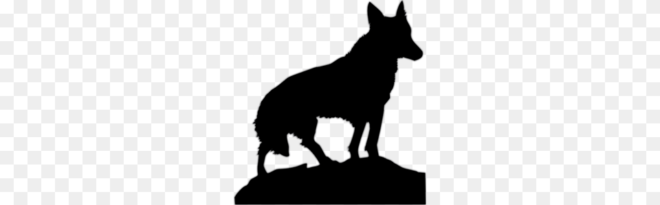 Wolf Transparent Stock Images, Silhouette, Animal, Mammal, Coyote Png
