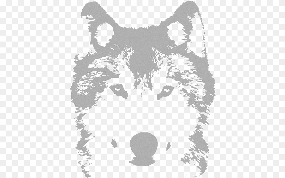 Wolf Video Productions Transparent Background, Animal, Mammal, Person, Canine Png