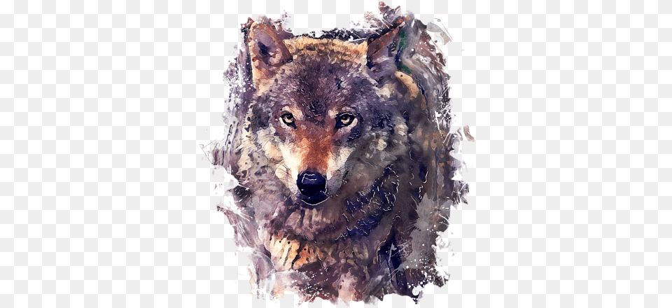 Wolf Watercolor Painting T Shirt Wolf Watercolor Painting, Animal, Canine, Mammal, Red Wolf Png Image