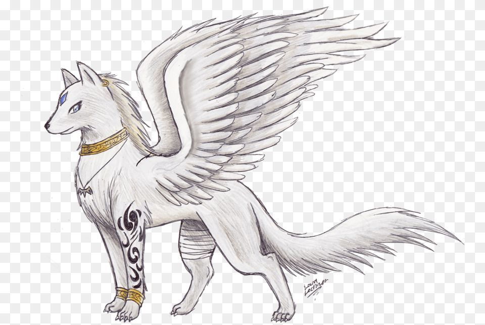 Wolf With Wings Drawing, Animal, Bird, Horse, Mammal Free Transparent Png