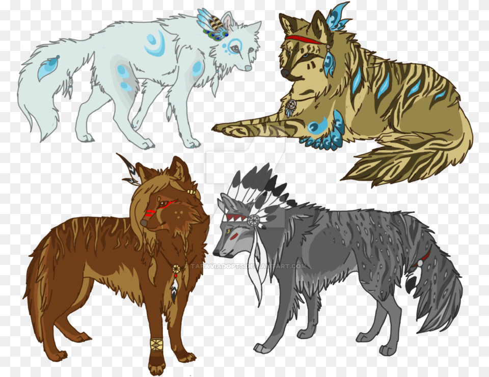 Wolf Wolf Drawing Native Americans, Animal, Mammal, Coyote, Lion Free Png Download
