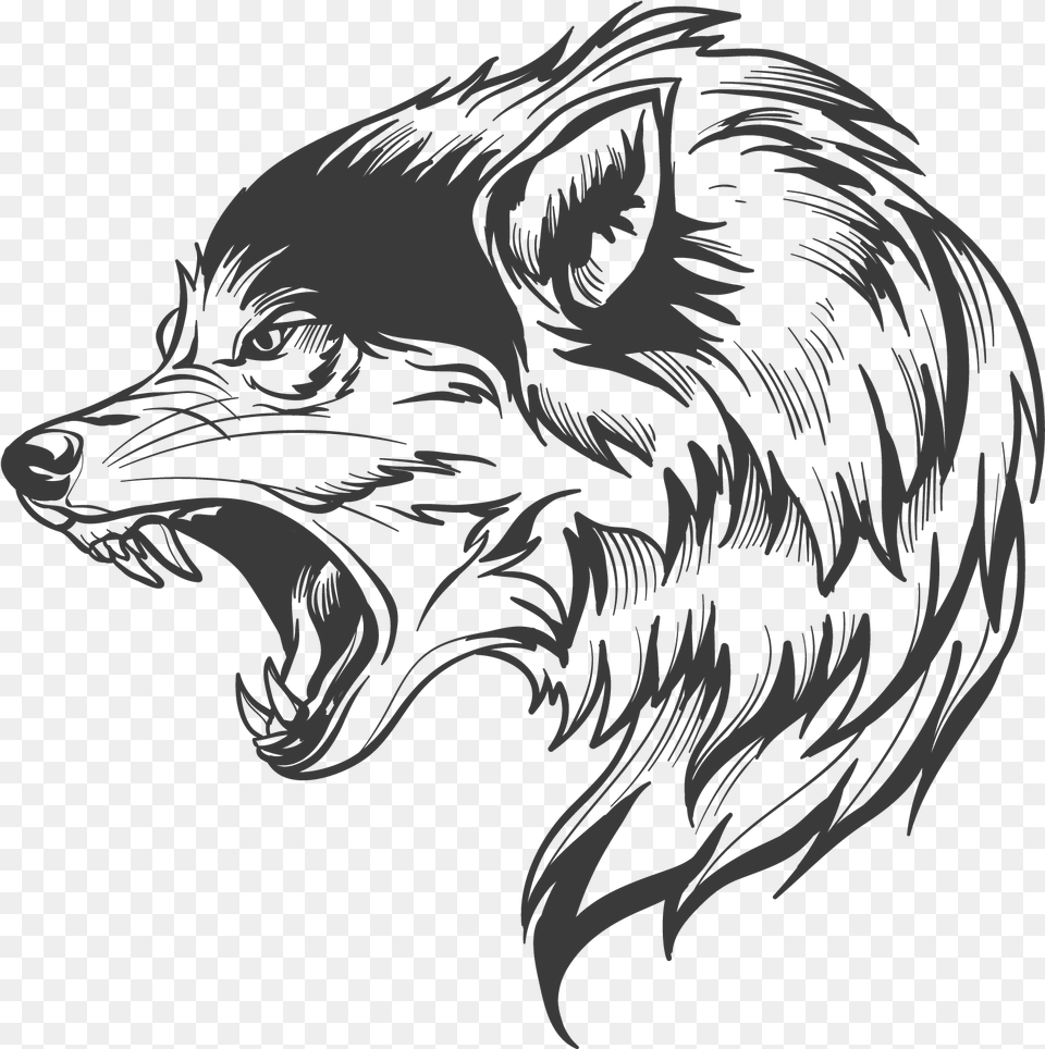 Wolf Wolf Silhouette Wolf Head Drawing Wolf Clipart Transparent Wolf Vector, Person, Art, Face Free Png