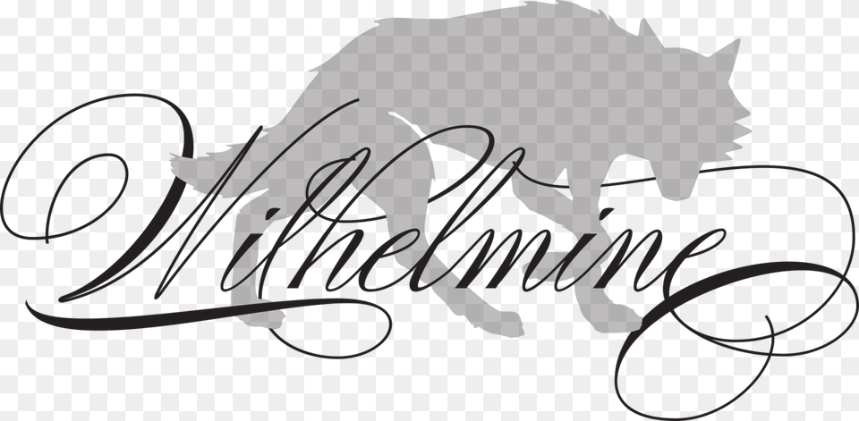 Wolfampwilhelmine, Text, Person, Handwriting Free Transparent Png