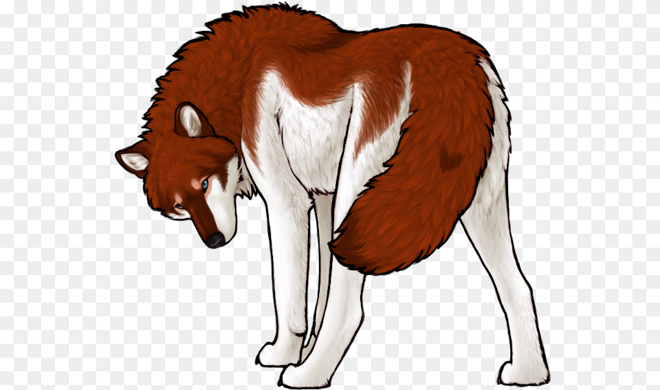 Wolvden Animal Figure, Red Wolf, Mammal, Canine, Bird Free Png Download