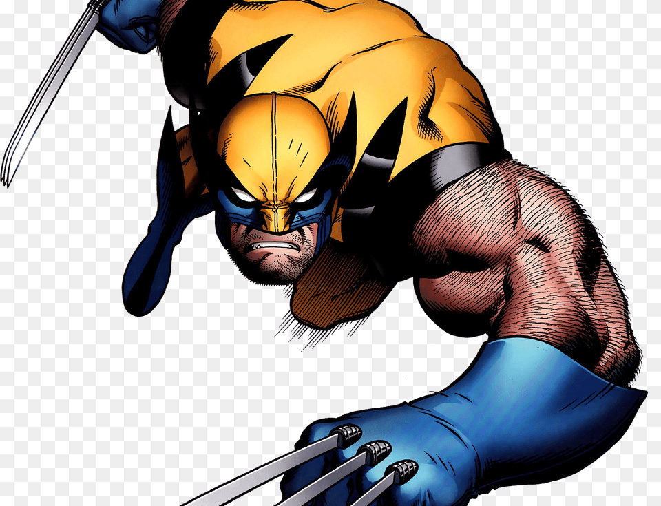Wolverine, Person, Head, Face, Invertebrate Png