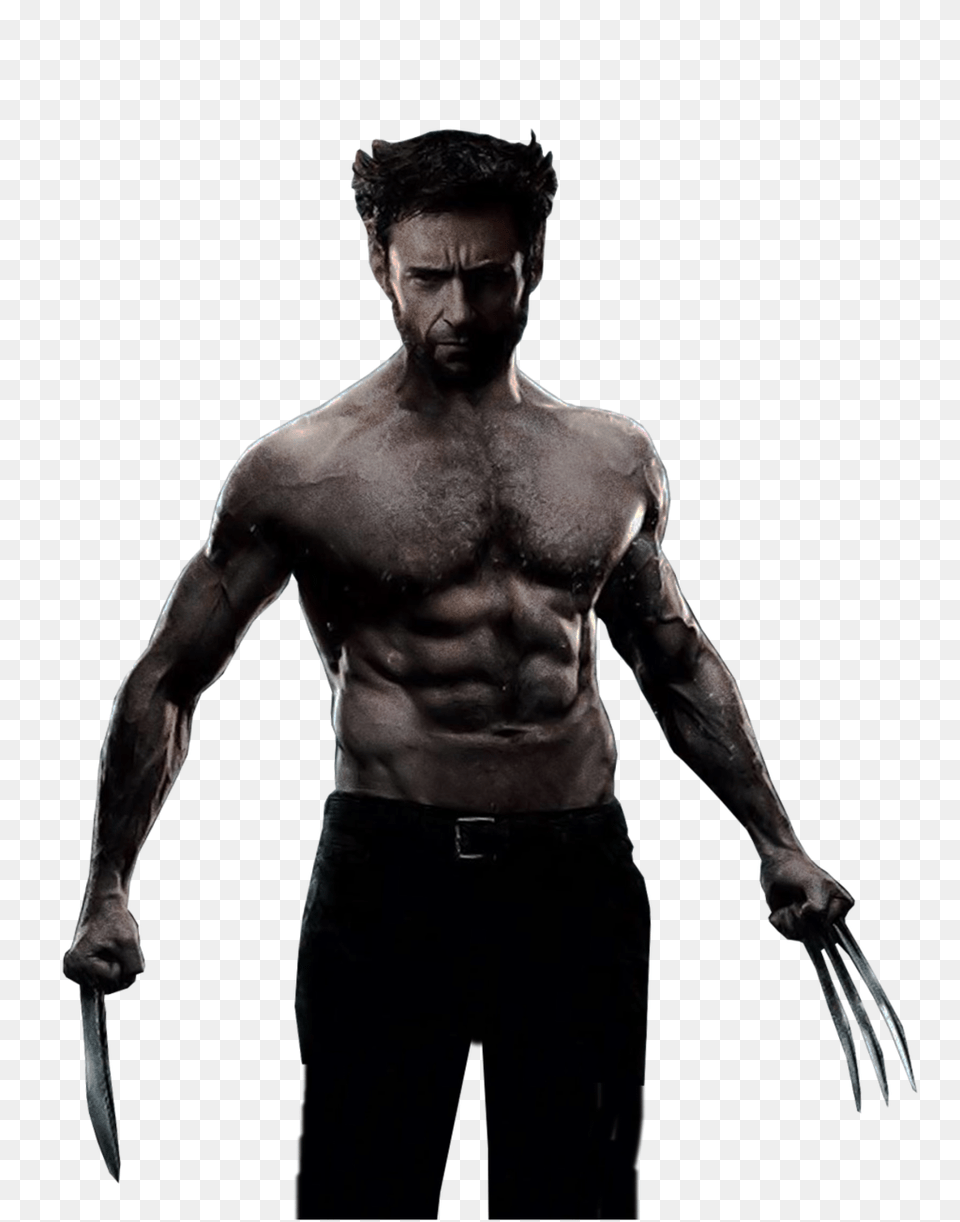 Wolverine, Adult, Portrait, Photography, Person Free Png Download