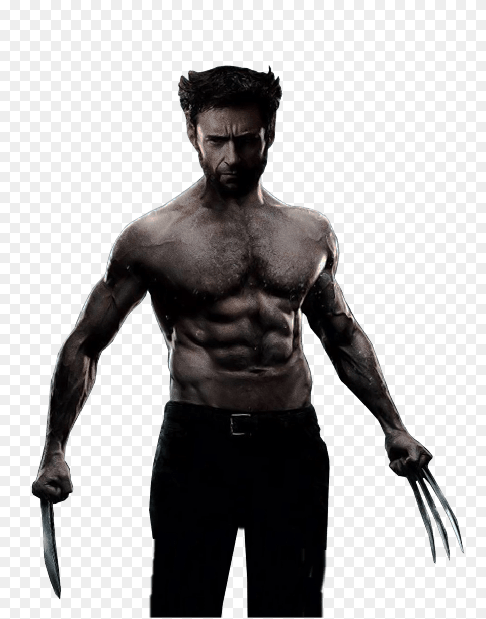 Wolverine, Back, Body Part, Person, Adult Free Png Download