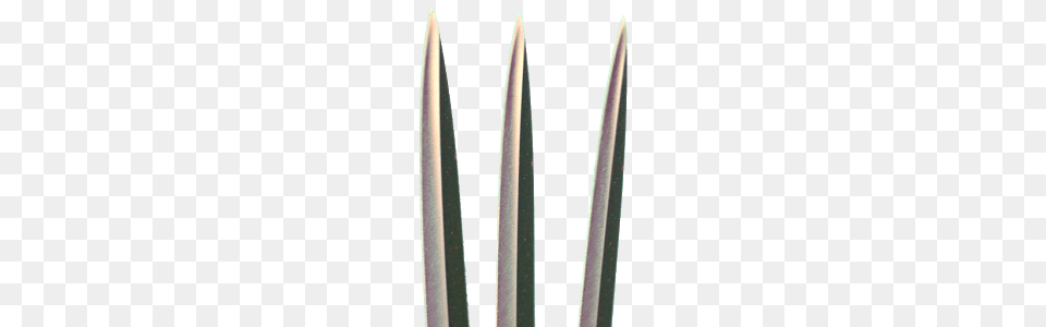 Wolverine, Weapon, Flower, Plant Free Transparent Png