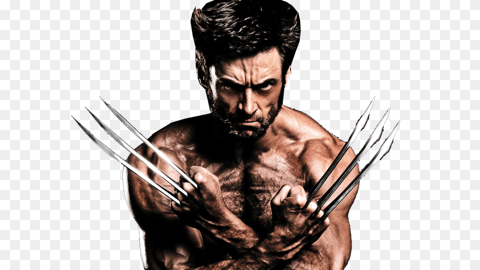 Wolverine, Hand, Photography, Body Part, Cutlery Png