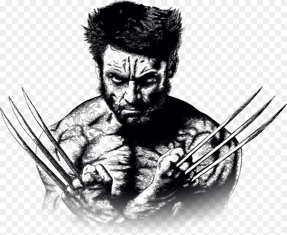 Wolverine Png Image