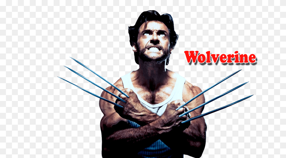 Wolverine, Adult, Person, Man, Male Free Png