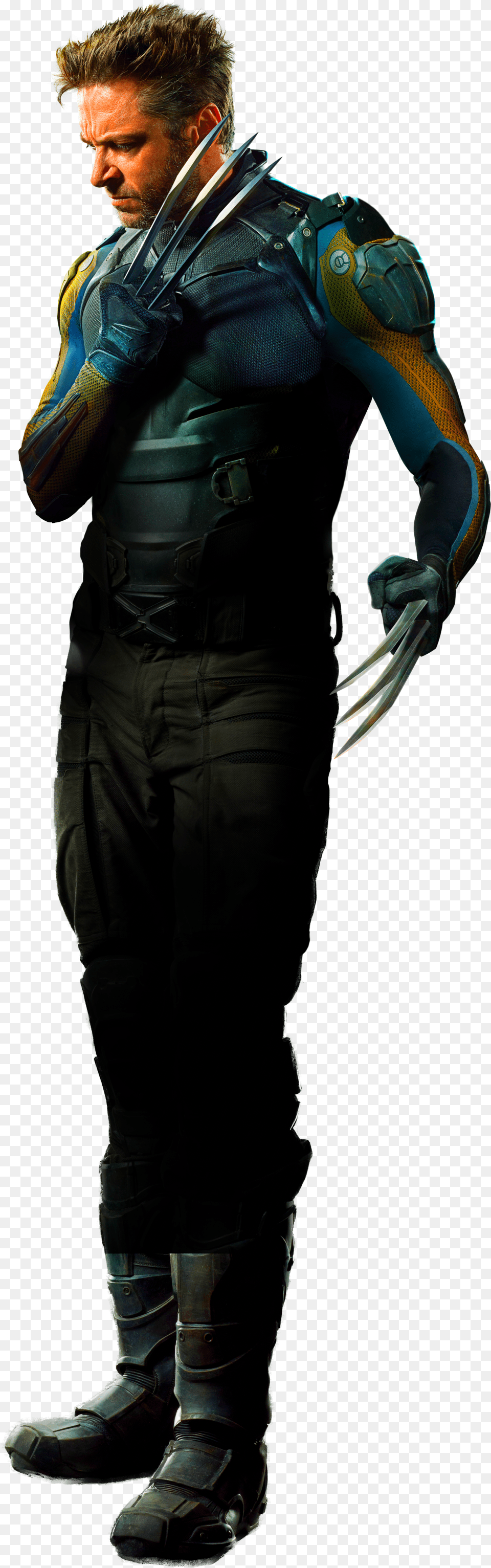 Wolverine, Adult, Male, Man, Person Png