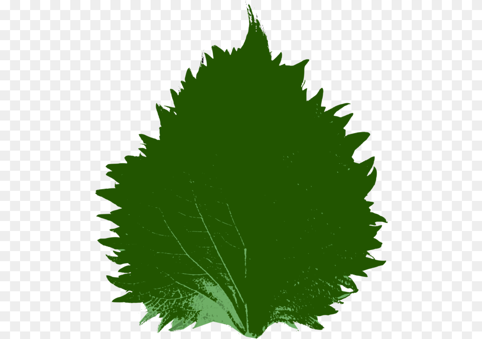 Wolverine Clipart 3d, Leaf, Plant, Person, Herbal Png Image