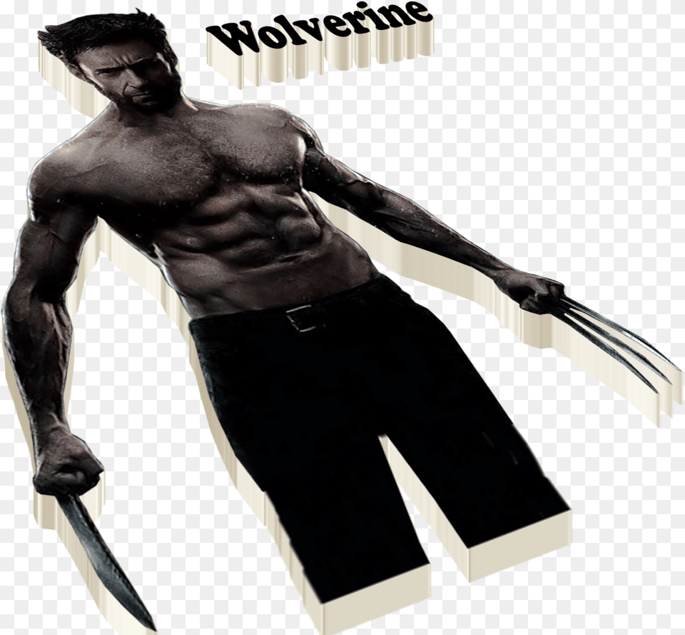 Wolverine Wolverine, Adult, Male, Man, Person Free Png