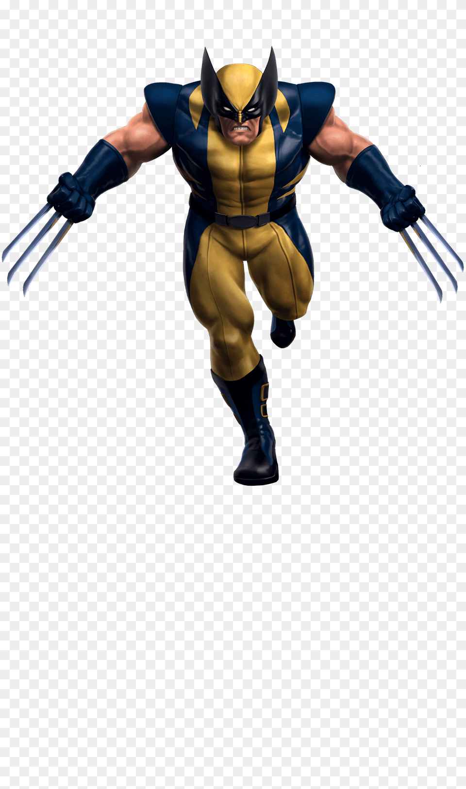 Wolverine The Marvel Experience Thailand, Adult, Person, Female, Woman Free Png Download