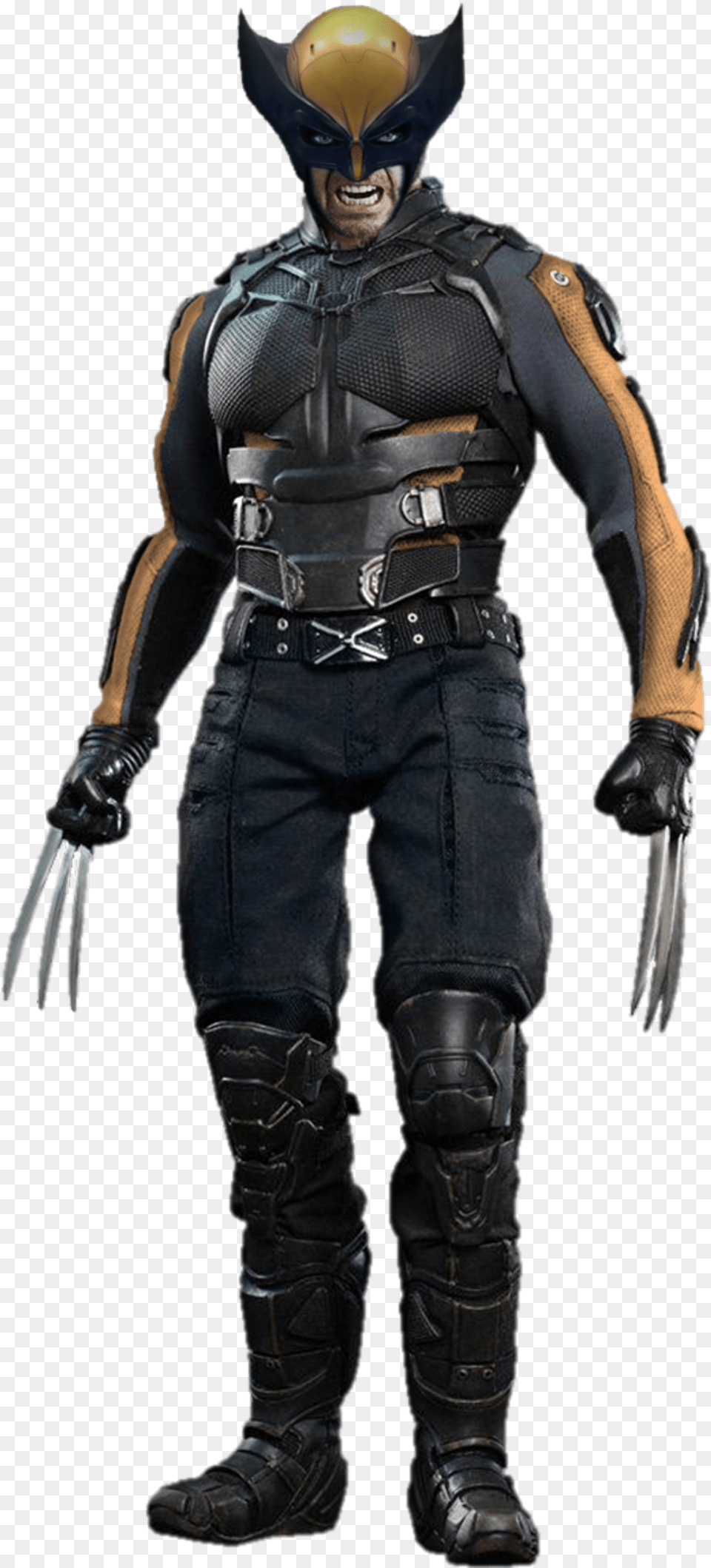 Wolverine Wolverine Collectible Figure 16 Marvel X Men Days, Adult, Person, Man, Male Free Png Download