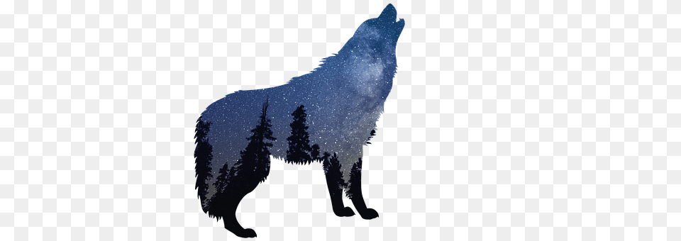 Wolves Animal, Mammal, Wolf, Coyote Png Image