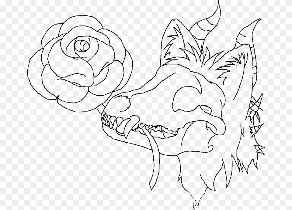 Wolves Drawing Skeleton Skull Dog Base Drawing, Gray Free Png Download