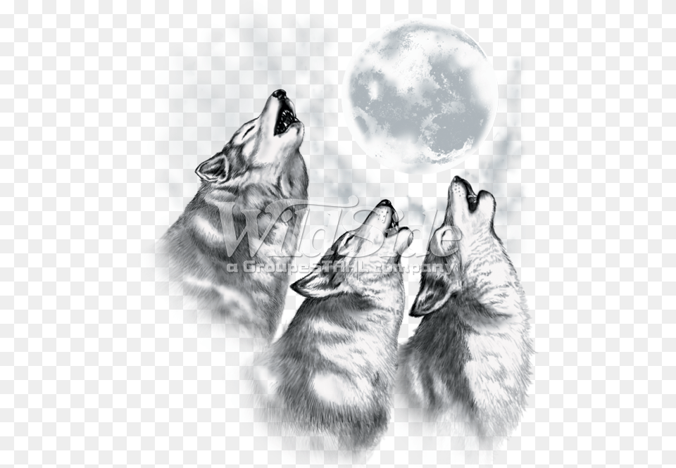 Wolves Howling At The Moon Wolves Howling At The Moon Drawings, Wolf, Animal, Mammal, Person Png Image